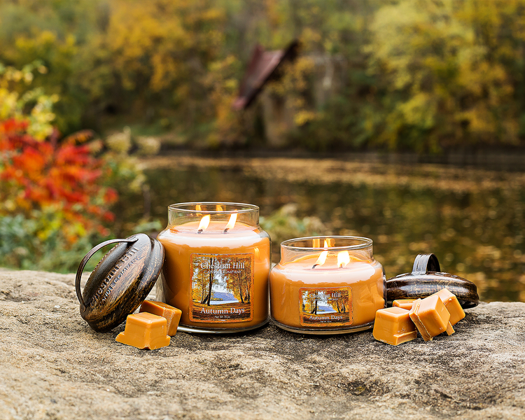 Chestnut Hill Candle Premium Soy Candles, 100+ Fragrances Chestnut
