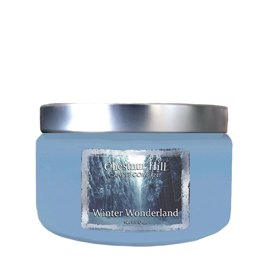 Winter Wonderland 10 oz silver lid
